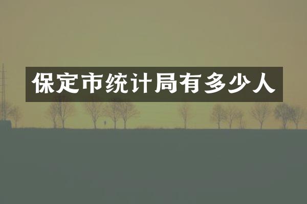 保定市统计局有多少人