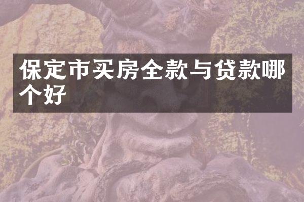 保定市买房全款与贷款哪个好