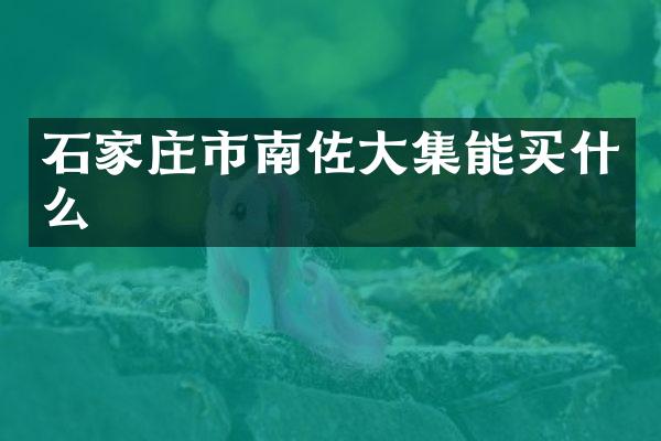 石家庄市南佐大集能买什么