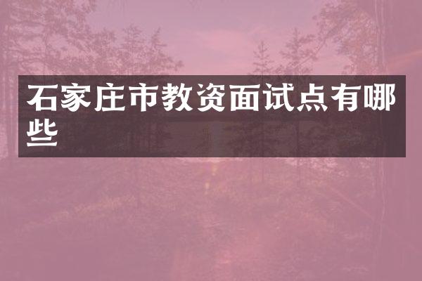 石家庄市教资面试点有哪些