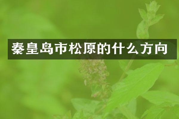 秦皇岛市松原的什么方向