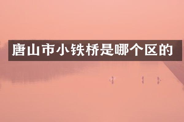唐山市小铁桥是哪个区的