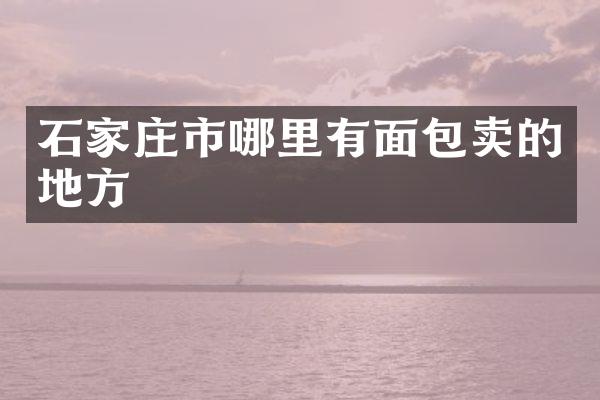 石家庄市哪里有面包卖的地方