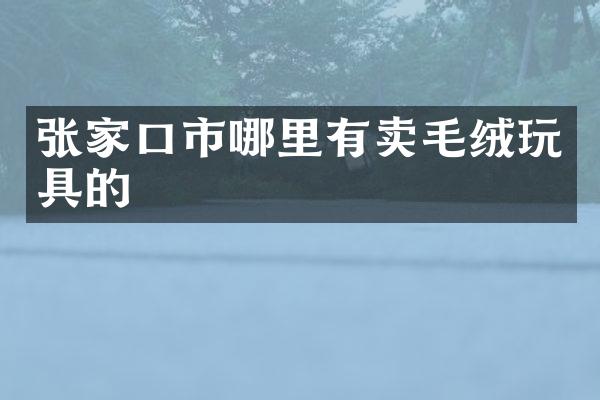 张家口市哪里有卖毛绒玩具的