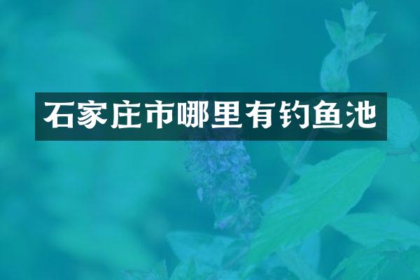 石家庄市哪里有钓鱼池