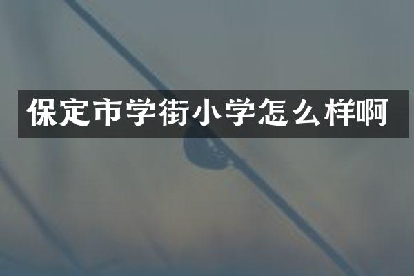 保定市学街小学怎么样啊