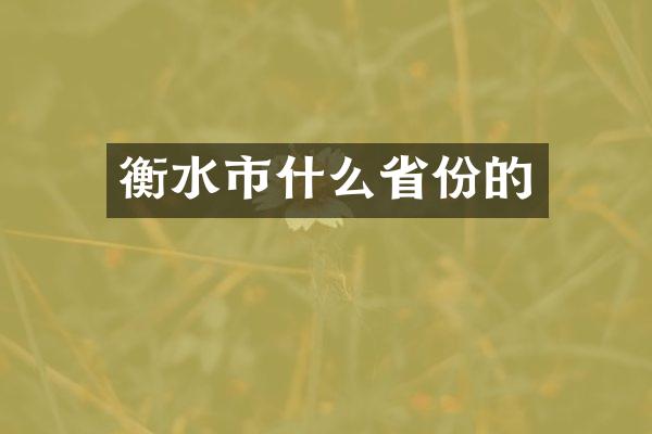 衡水市什么省份的