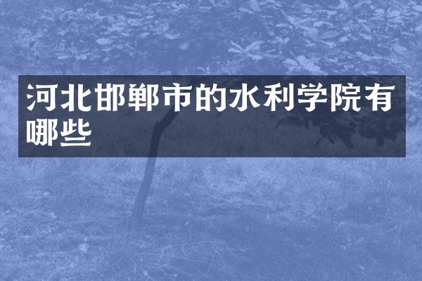 河北邯郸市的水利学院有哪些