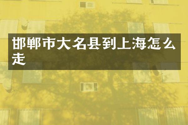 邯郸市大名县到上海怎么走