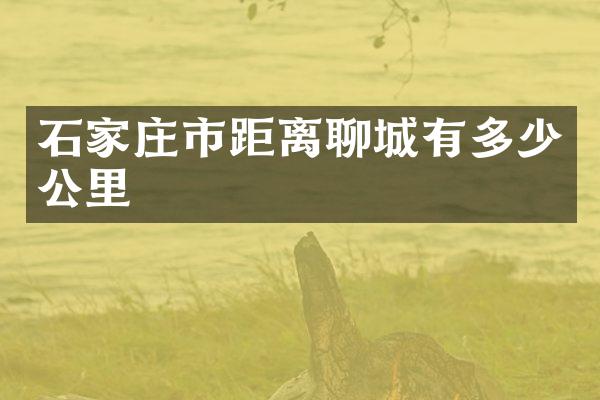 石家庄市距离聊城有多少公里
