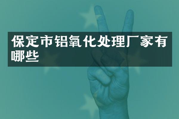 保定市铝氧化处理厂家有哪些