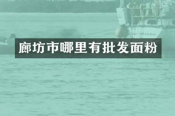 廊坊市哪里有批发面粉