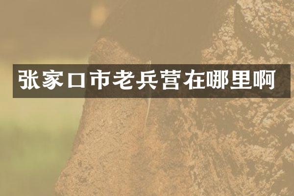 张家口市老兵营在哪里啊