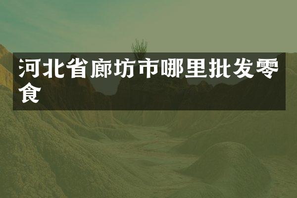 河北省廊坊市哪里批发零食