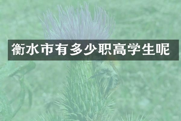 衡水市有多少职高学生呢