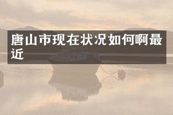 唐山市现在状况如何啊最近