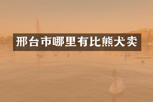 邢台市哪里有比熊犬卖