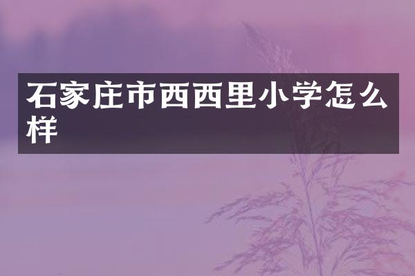 石家庄市西西里小学怎么样