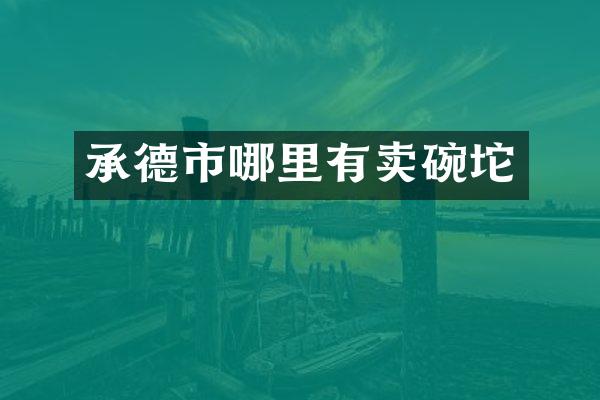 承德市哪里有卖碗坨