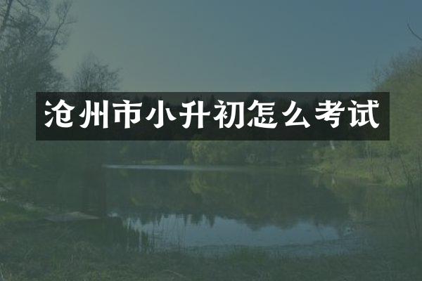沧州市小升初怎么考试