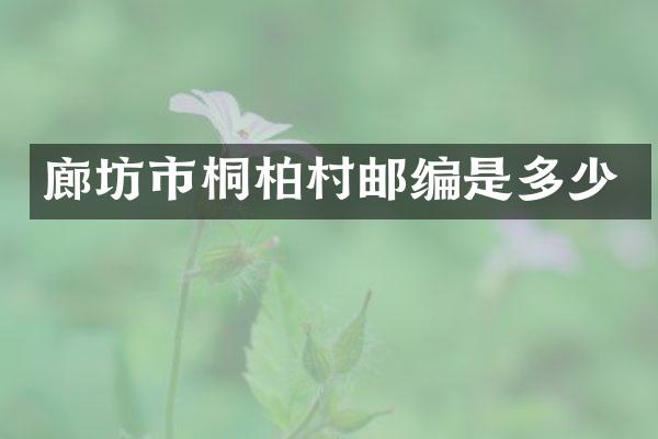 廊坊市桐柏村邮编是多少