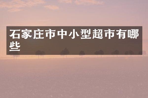 石家庄市中小型超市有哪些