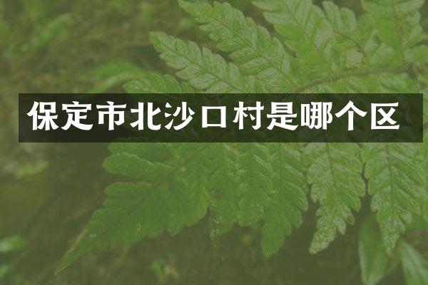 保定市北沙口村是哪个区