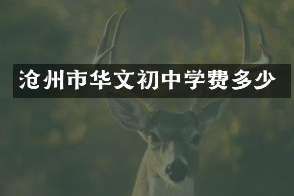 沧州市华文初中学费多少