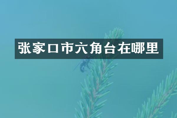 张家口市六角台在哪里