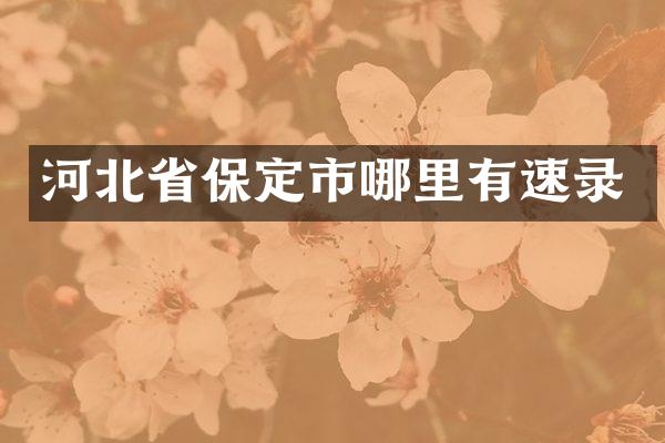 河北省保定市哪里有速录