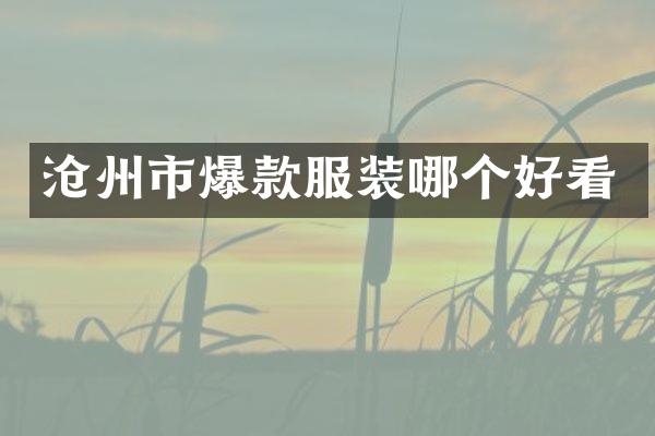 沧州市爆款服装哪个好看
