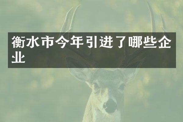 衡水市今年引进了哪些企业