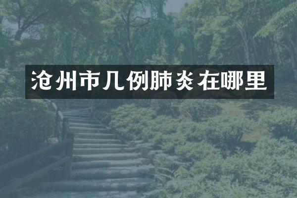 沧州市几例肺炎在哪里