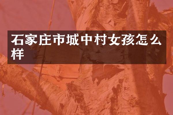 石家庄市城中孩怎么样