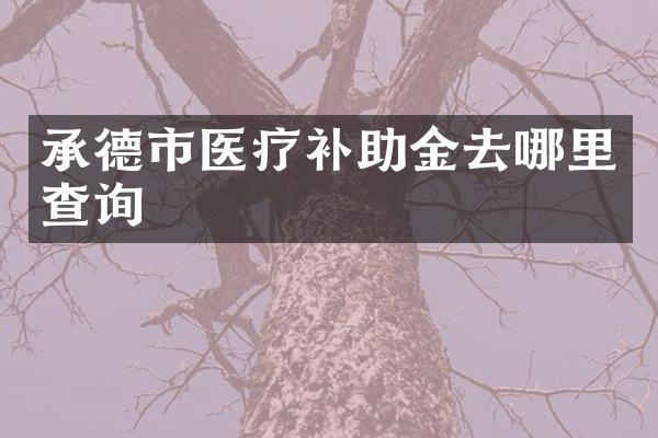 承德市医疗补助金去哪里查询