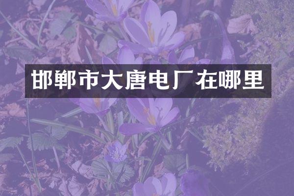 邯郸市大唐电厂在哪里