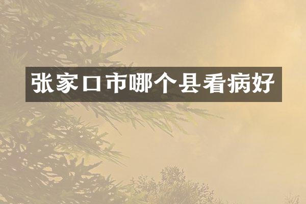 张家口市哪个县看病好