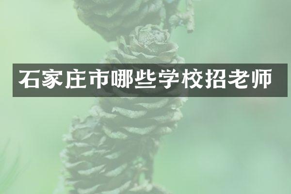 石家庄市哪些学校招老师
