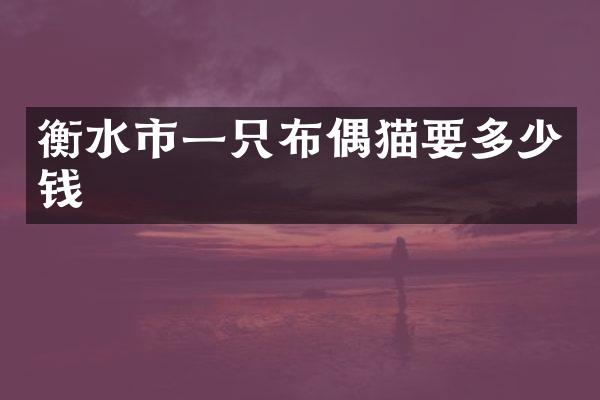衡水市一只布偶猫要多少钱