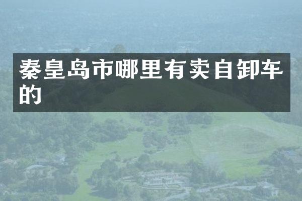 秦皇岛市哪里有卖自卸车的