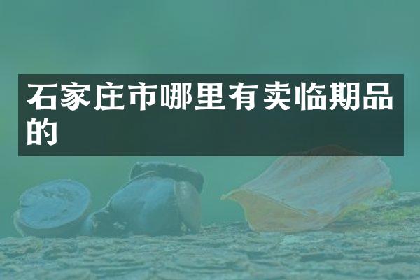 石家庄市哪里有卖临期品的
