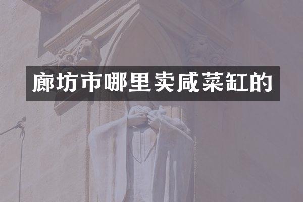 廊坊市哪里卖咸菜缸的