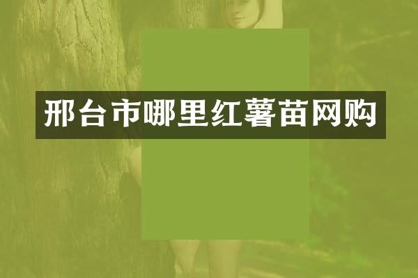 邢台市哪里红薯苗网购