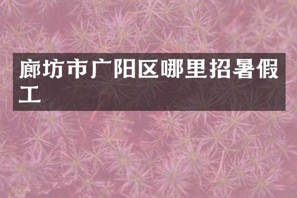 廊坊市广阳区哪里招暑假工