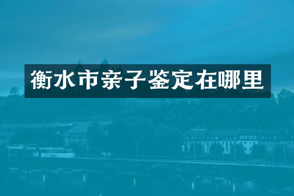衡水市亲子鉴定在哪里