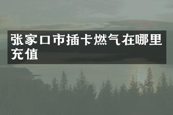 张家口市插卡燃气在哪里充值