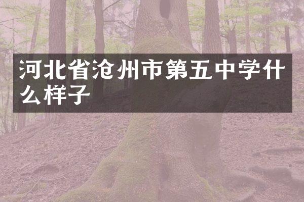 河北省沧州市第五中学什么样子
