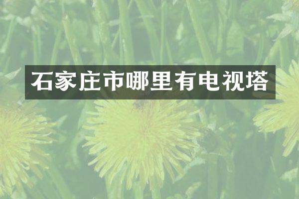 石家庄市哪里有电视塔