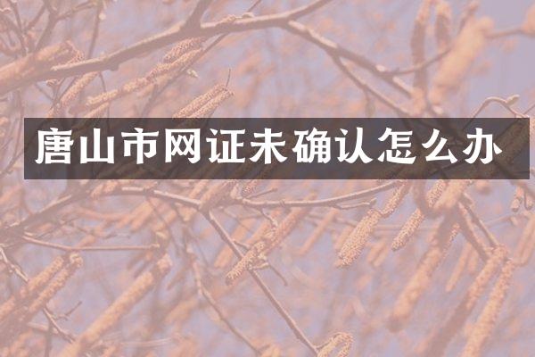 唐山市网证未确认怎么办