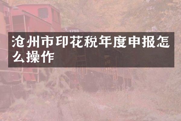 沧州市印花税年度申报怎么操作